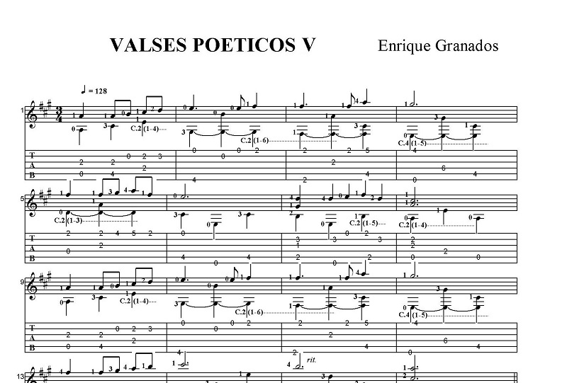 �G�����P�E�O���i�h�X�@���I�ȃ����c�W�@5