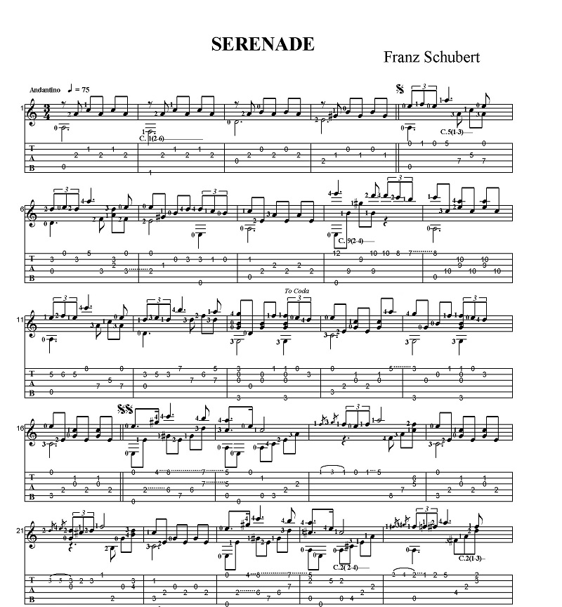 �t�����c�E�V���[�x���g�@�Z���i�[�f