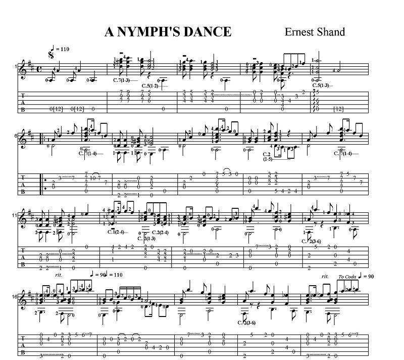 �G���l�X�g�E�V�����h�@�d���̗x��@Op.205