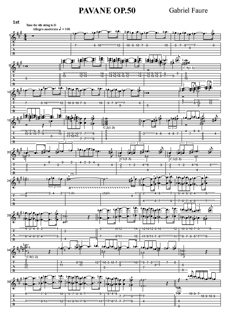 �K�u���G���E�t�H�[�� �p���@�[�k�@��i50 1st